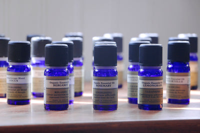 Essential Oils: What They Haven't Told You