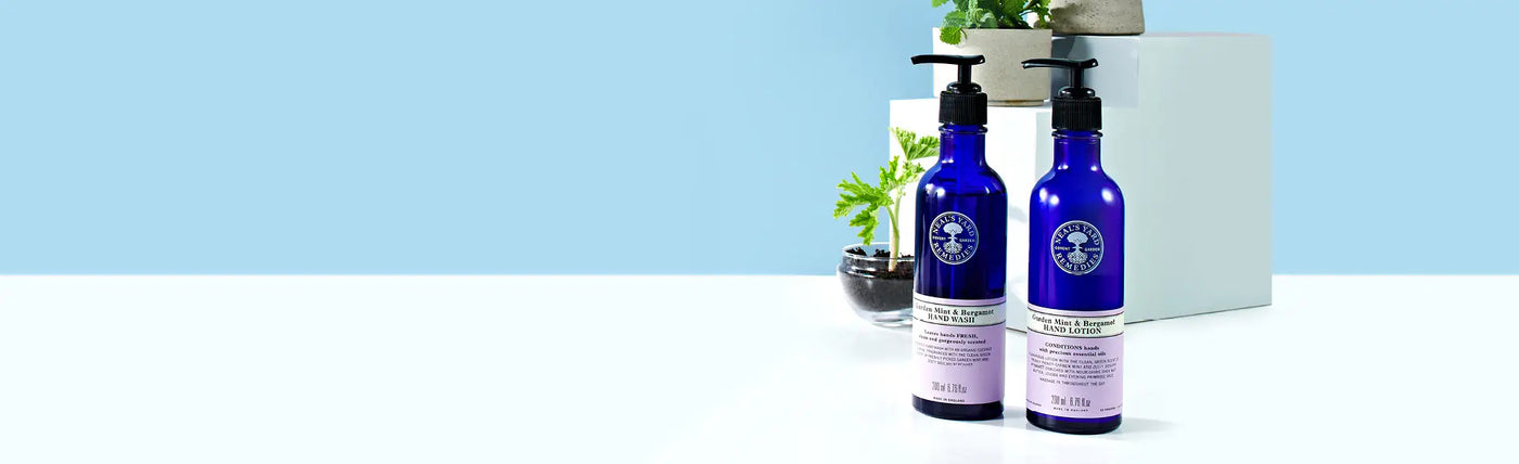 Garden Mint & Bergamot
